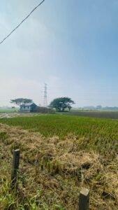 Oma Great Builders-project image